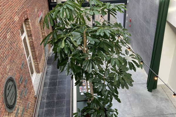 project gemeenschapscentrum Den Bussel